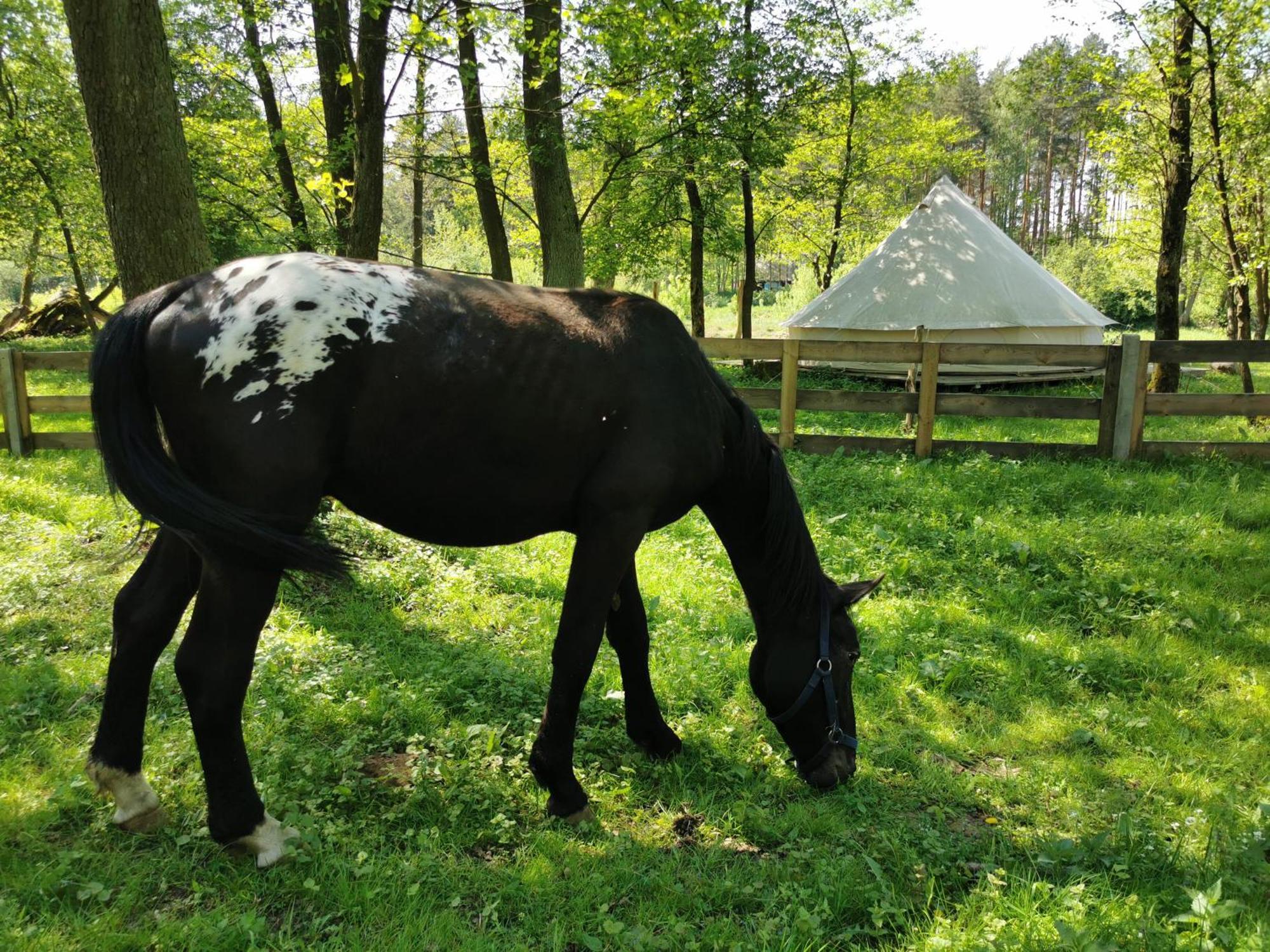 Glamping Kaliska Hotel Łochów Buitenkant foto